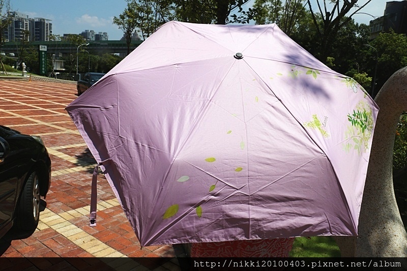 1503581222-1081391837.jpg?v=1503581269