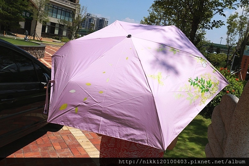 1503581222-3781588791.jpg?v=1503581269