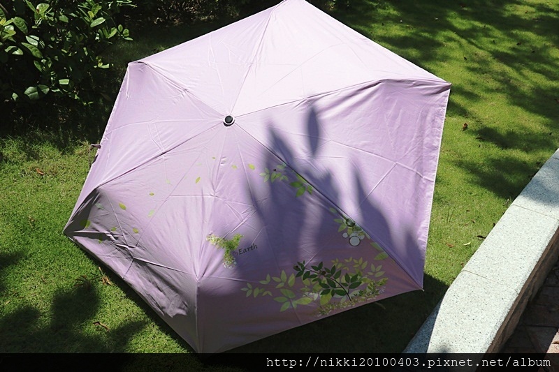 1503581219-172500676.jpg?v=1503581269