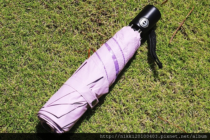 1503581218-3516911472.jpg?v=1503581269