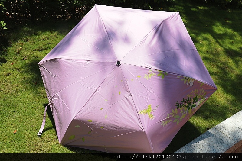 1503581219-3149159958.jpg?v=1503581269