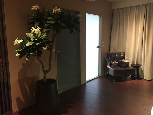 1506477697-668632968_n.jpg?v=1506477697