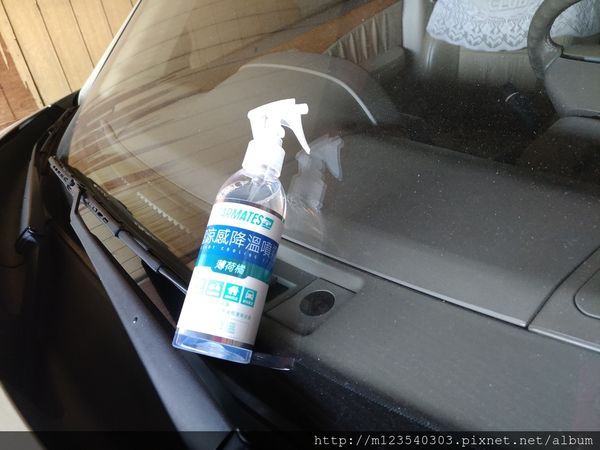 1505917358-350419793_n.jpg?v=1505917361