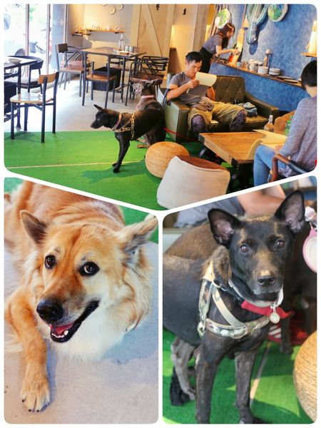 1509440638-551507006_n.jpg?v=1509440640