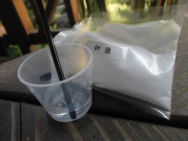 1509093881-1214694683_n.jpg?v=1509348400