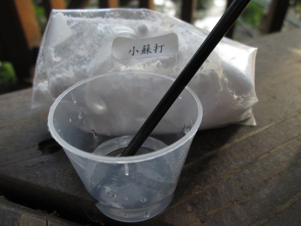 1509093881-4006324935_n.jpg?v=1509348388