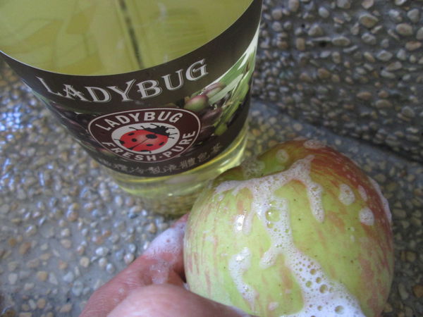 1509093881-241192703_n.jpg?v=1509100682