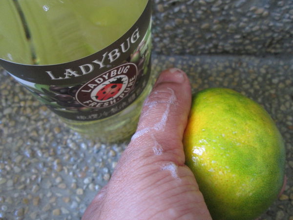 1509093881-2415957104_n.jpg?v=1509100398