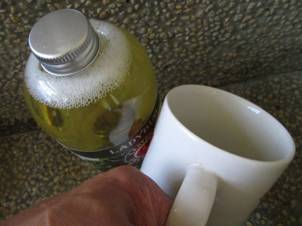 1509093881-2543777708_n.jpg?v=1509348457