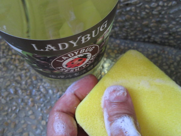 1509093881-2773182189_n.jpg?v=1509348428