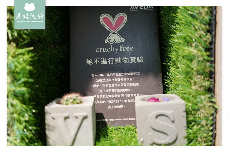 1515823357-294306068.jpg?v=1515823400