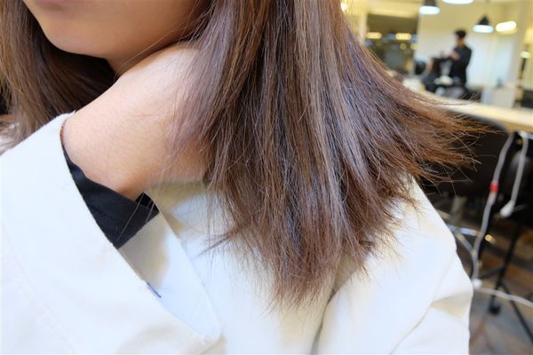 1516114028-2192374085_n.jpg?v=1516114127