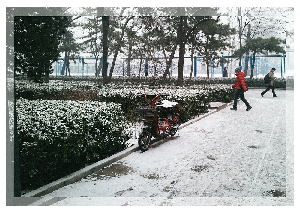 1514631520-1485493807.png?v=1514634308