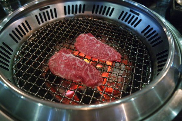 1515461944-2383581028_n.jpg?v=1515463428