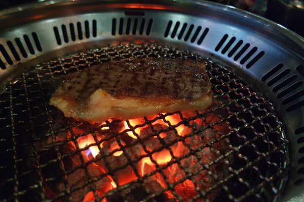 1515461952-1920507090_n.jpg?v=1515463428