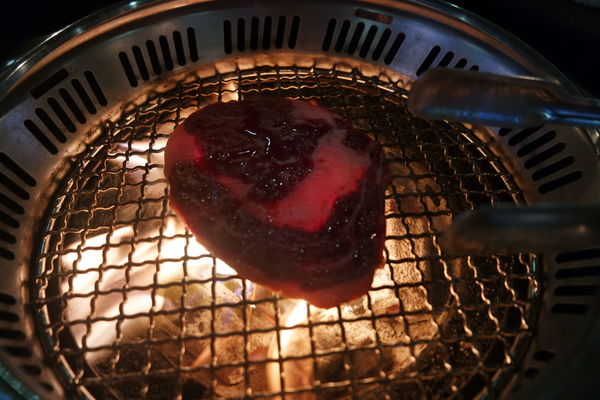 1515461959-2799132179_n.jpg?v=1515463428