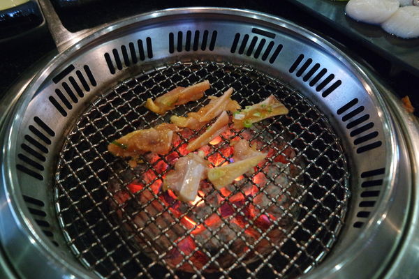 1515461970-4276543475_n.jpg?v=1515463428