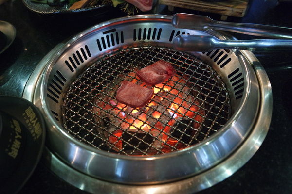 1515461937-3995899316_n.jpg?v=1515463428