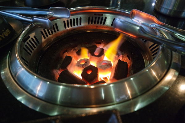 1515461925-1206368179_n.jpg?v=1515463428