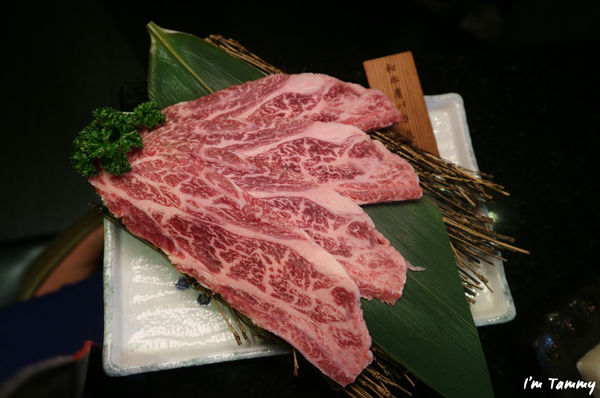 1515737087-499549839_n.jpg?v=1515737088