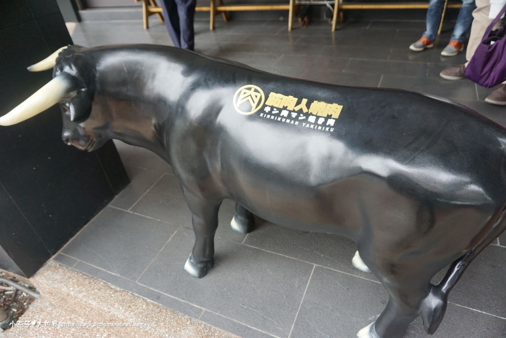 1516290577-3217923018_l.jpg?v=1516290590