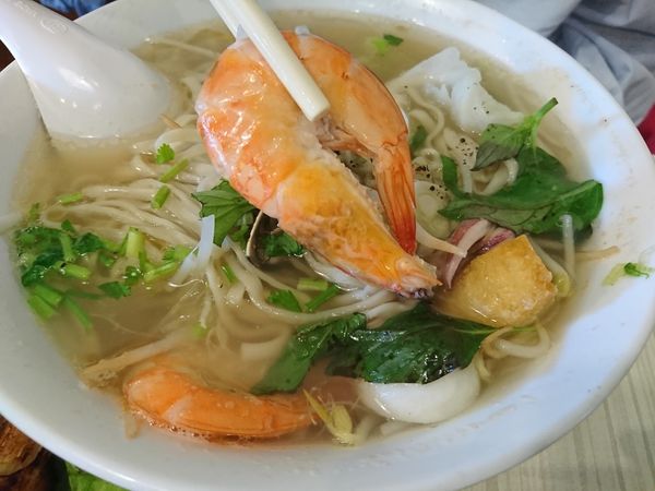 1514791806-320554184_n.jpg?v=1514791856