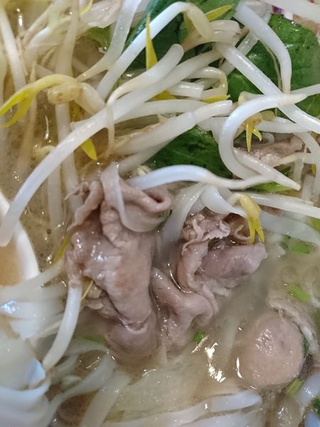 1514791798-3386767043_n.jpg?v=1514791855