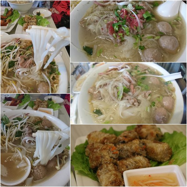 1514791833-569664795_n.jpg?v=1514791856