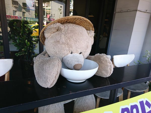 1514791769-1922464529_n.jpg?v=1514791854