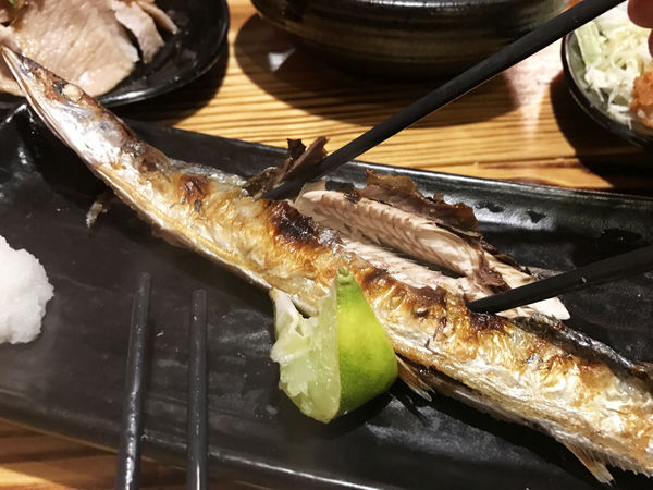 1516988288-1317143381_n.jpg?v=1516988303