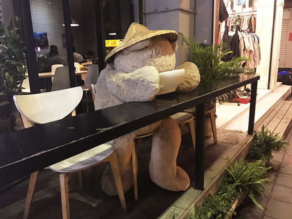 1516549337-518673296_n.jpg?v=1516549354