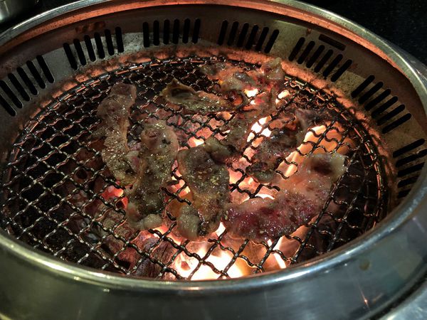 1515295598-4005499538_n.jpg?v=1515295691