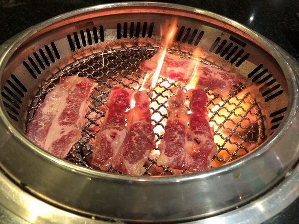 1515295605-1945307650_n.jpg?v=1515295691