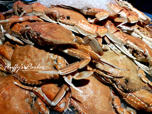 1516178036-948511519_n.jpg?v=1516178724