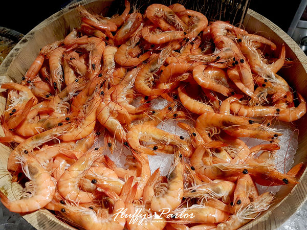 1516178042-1799764605_n.jpg?v=1516178724