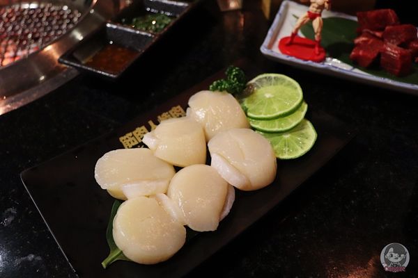 1516549936-1661152817_n.jpg?v=1516549980