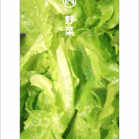 1518078822-1009895098_m.jpg?v=1518078831