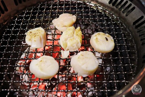 1516549930-1280935573_n.jpg?v=1516549980