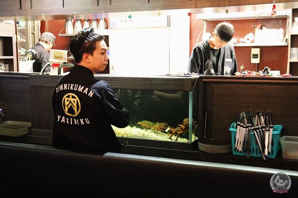 1516549945-4220723809_n.jpg?v=1516549981