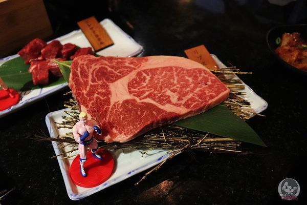 1516549944-2543310950_n.jpg?v=1516549980