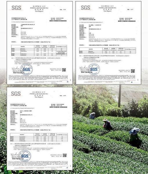 1515046479-194872519_n.jpg?v=1515046502