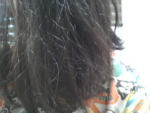 1515457222-3573734755_n.jpg?v=1515667162