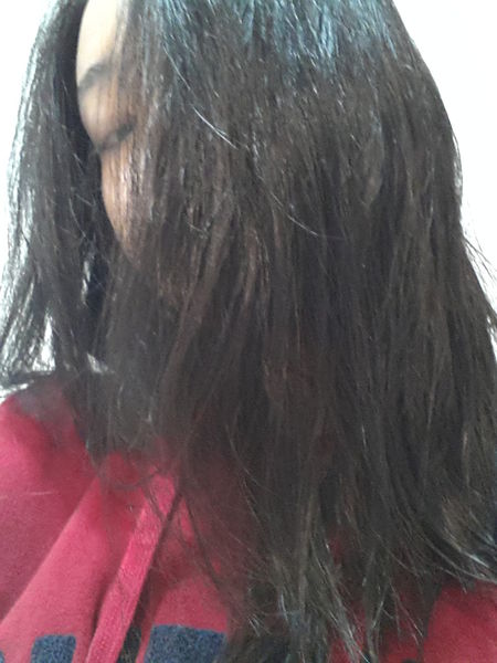 1515457222-1579328430_n.jpg?v=1515667162