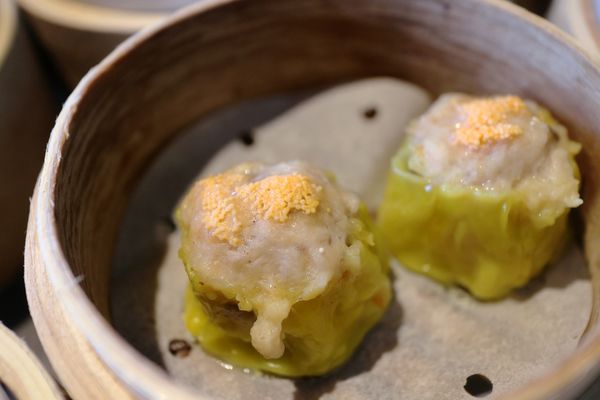 1515047491-1570890774_n.jpg?v=1515047549