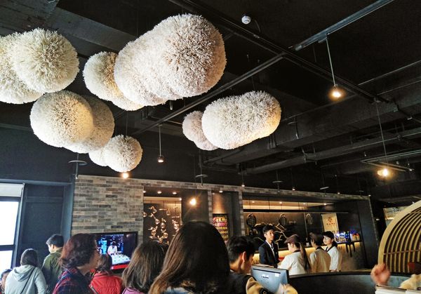 1515047498-3681437133_n.jpg?v=1515047549