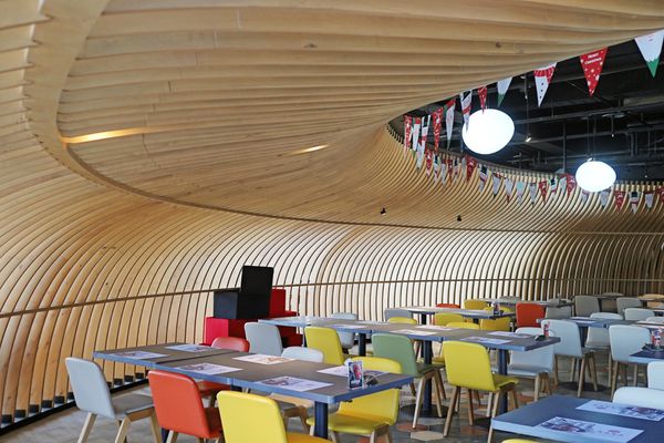 1515047477-331407825_n.jpg?v=1515047549