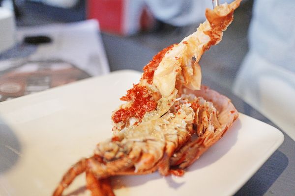 1515053639-1680482566_n.jpg?v=1515054117