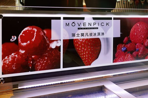 1515061342-3874175362_n.jpg?v=1515061349