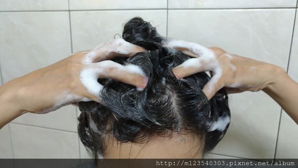 1514120906-2332754957_n.jpg?v=1514120931