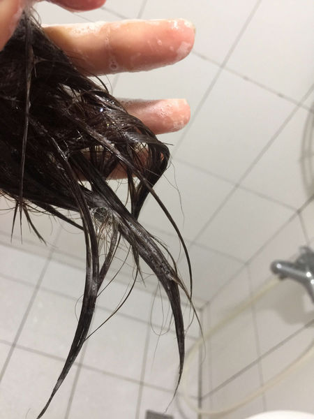 1515723288-2921605025_n.jpg?v=1515723313